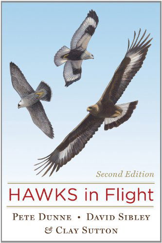 Cover for Sibley David Sibley · Hawks in Flight: Second Edition (Hardcover Book) [Second edition] (2012)