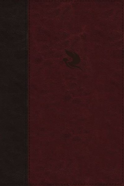 Cover for Jack Hayford · NKJV, Spirit-Filled Life Bible, Third Edition, Leathersoft, Burgundy, Red Letter, Comfort Print: Kingdom Equipping Through the Power of the Word (Leather Book) [Third edition] (2018)