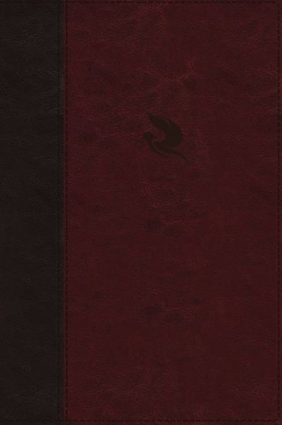 NKJV, Spirit-Filled Life Bible, Third Edition, Leathersoft, Burgundy, Red Letter, Comfort Print: Kingdom Equipping Through the Power of the Word - Jack Hayford - Books - Thomas Nelson Publishers - 9780529100597 - October 18, 2018