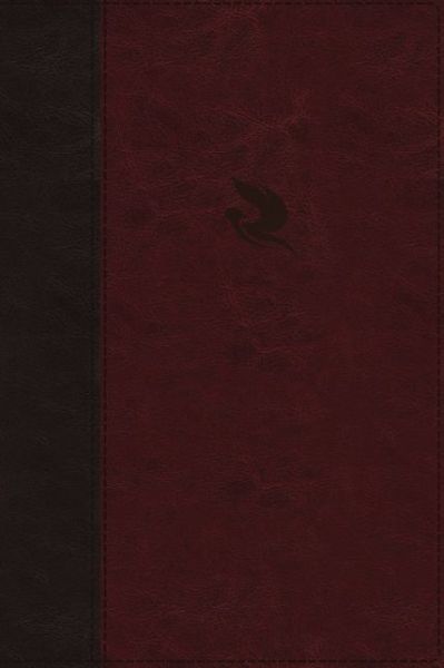 Cover for Jack Hayford · NKJV, Spirit-Filled Life Bible, Third Edition, Leathersoft, Burgundy, Red Letter, Comfort Print: Kingdom Equipping Through the Power of the Word (Leather Book) [Third edition] (2018)