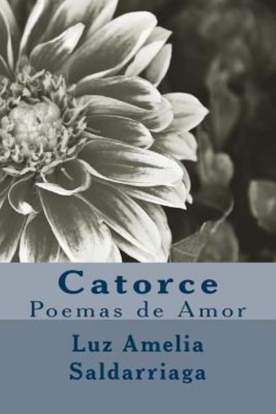 Cover for Luz Amelia Saldarriaga · Catorce (Pocketbok) (2017)