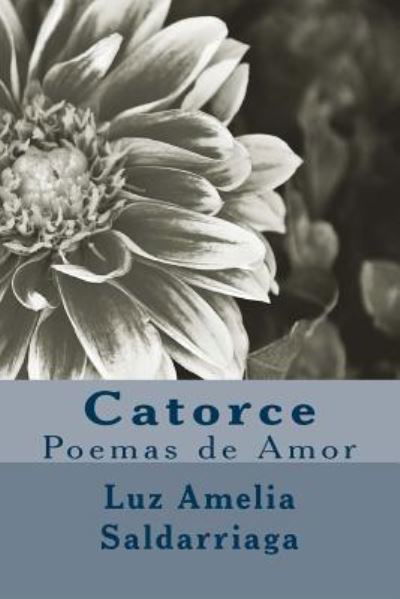 Cover for Luz Amelia Saldarriaga · Catorce (Paperback Book) (2017)