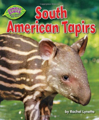 Cover for Rachel Lynette · South American Tapirs (Jungle Babies of the Amazon Rain Forest) (Hardcover Book) (2013)