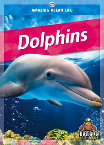 Dolphins - Colleeen Sexton - Books - Kaleidoscope Publishing, Inc. - 9781645195597 - 2023