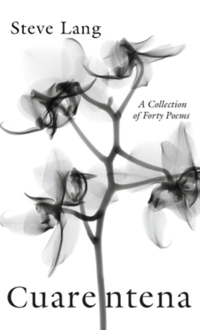 Cover for Steve Lang · Cuarentena (Book) (2021)
