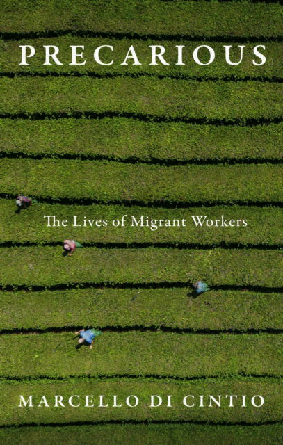 Cover for Marcello Di Cintio · Precarious: The Secret Lives of Migrant Workers (Paperback Book) (2025)