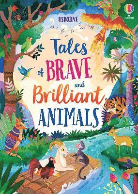 Cover for Susanna Davidson · Tales of Brave and Brilliant Animals - Illustrated Story Collections (Innbunden bok) (2023)