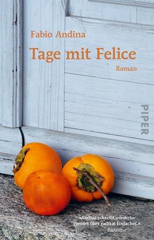 Cover for Fabio Andina · Tage mit Felice (Taschenbuch) (2022)