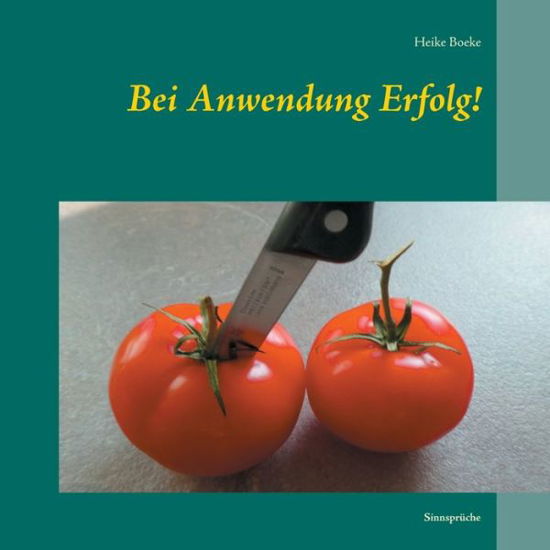 Cover for Heike Boeke · Bei Anwendung Erfolg!: Sinnspruche (Paperback Book) (2020)