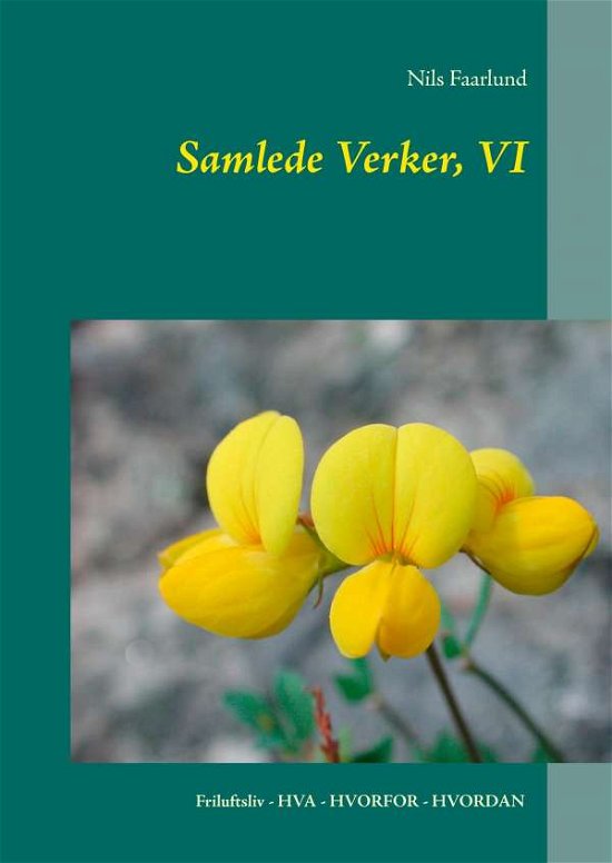 Cover for Nils Faarlund · Samlede Verker, VI (Hardcover Book) [1.º edición] (2016)