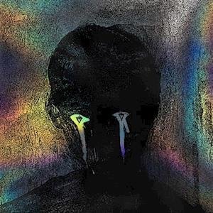 Cover for Devil Wears Prada · Color Decay (LP) (2023)
