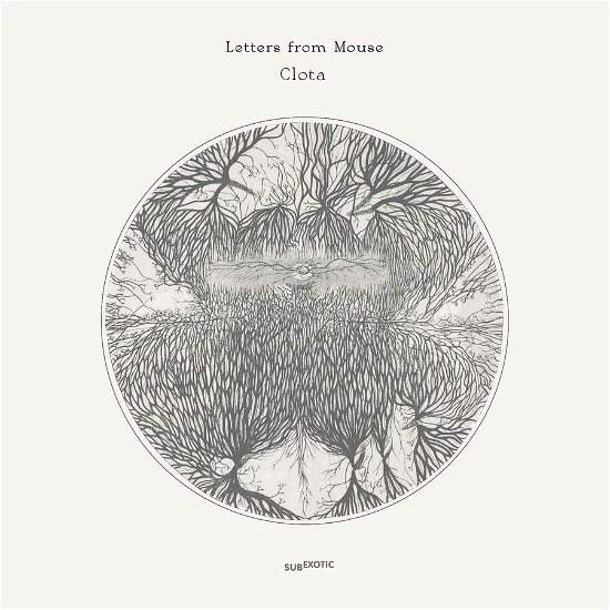 Letters from Mouse · Clouta (LP) (2024)
