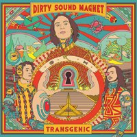 Cover for Dirty Sound Magnet · Transgenic (LP) (2019)