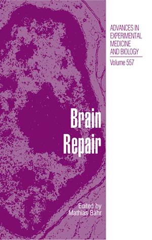 Cover for Brain Repair - Advances in Experimental Medicine and Biology (Hardcover Book) [2006 edition] (2005)
