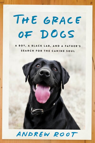 Cover for Andrew Root · The Grace of Dogs: A Boy, a Black Lab, and a Father's Search for the Canine Soul (Hardcover Book) (2017)