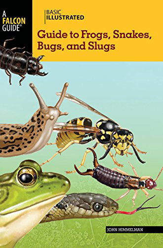 Cover for John Himmelman · Basic Illustrated Guide to Frogs, Snakes, Bugs, and Slugs - Basic Illustrated Series (Paperback Book) [First edition] (2013)