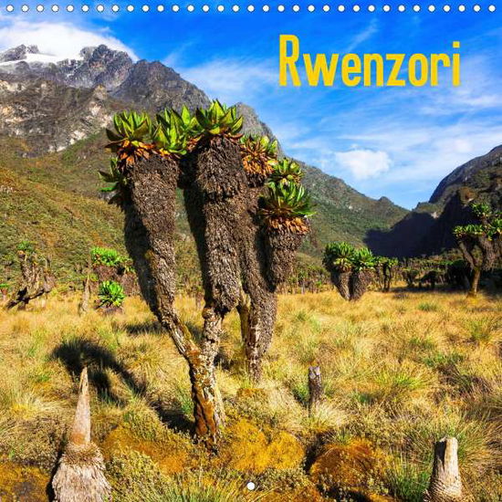 Cover for Zwick · Rwenzori (Wall Calendar 2021 300 (Book)