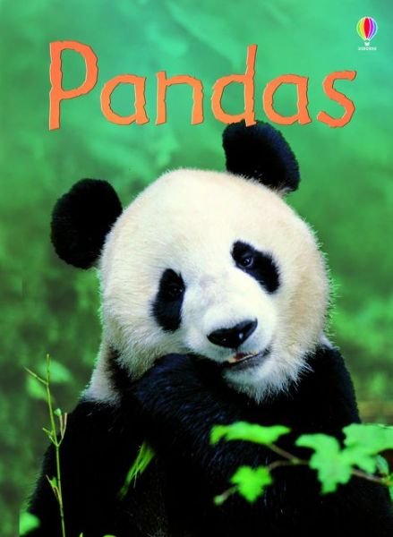 Pandas - Beginners - James Maclaine - Livros - Usborne Publishing Ltd - 9781409581598 - 2015