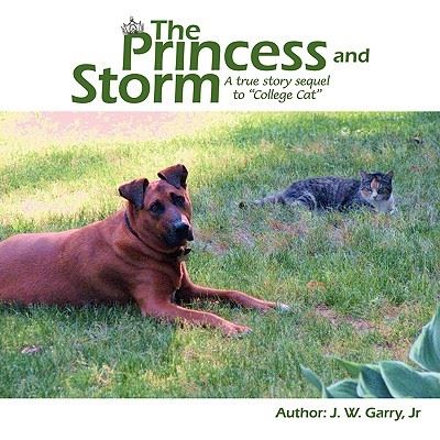 Cover for Garry, J W, Jr. · The Princess and Storm (Paperback Book) (2009)