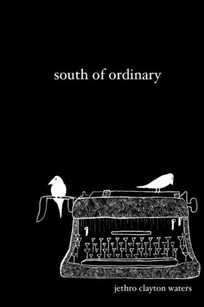 Cover for Jethro Clayton Waters · South of Ordinary (Taschenbuch) (2010)