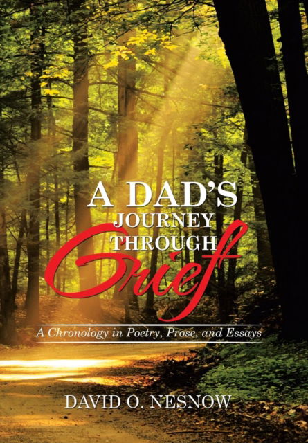 Cover for David O Nesnow · A Dad's Journey Through Grief (Hardcover Book) (2016)