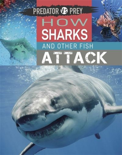 Cover for Tim Harris · Predator vs Prey: How Sharks and other Fish Attack - Predator vs Prey (Hardcover Book) [Illustrated edition] (2021)