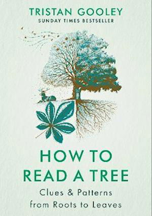How to Read a Tree: The Sunday Times Bestseller - Tristan Gooley - Kirjat - Hodder & Stoughton - 9781529339598 - torstai 13. huhtikuuta 2023