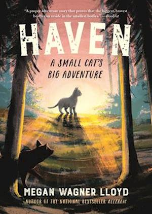 Cover for Lloyd Megan Wagner · Haven (Bok) (2025)