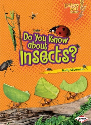 Cover for Buffy Silverman · Do You Know about Insects? - Lightning Bolt Books Meet the Animal Groups (Paperback Book) (2009)