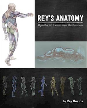 Cover for Reys Anatomy (Book) (2021)