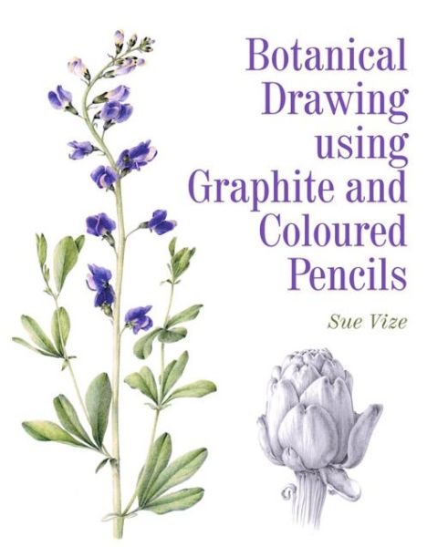 Cover for Sue Vize · Botanical Drawing using Graphite and Coloured Pencils (Paperback Bog) (2016)