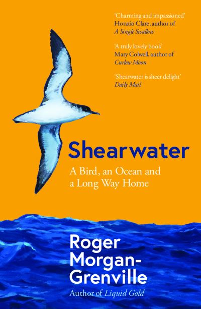 Cover for Roger Morgan-Grenville · Shearwater: A Bird, an Ocean, and a Long Way Home (Paperback Book) (2022)