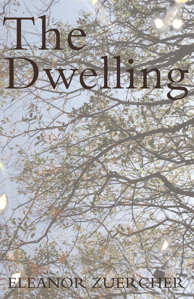 The Dwelling - Eleanor Zuercher - Livros - Troubador Publishing - 9781785890598 - 28 de janeiro de 2016