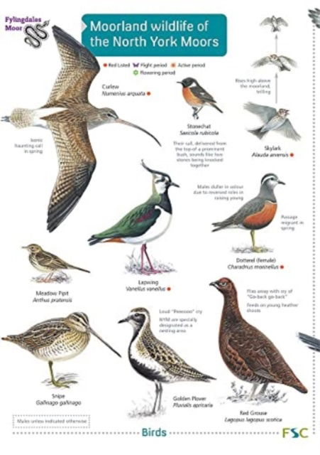 Cover for Field Studies Council · Moorland wildlife of the North York Moors (Paperback Book) (2021)