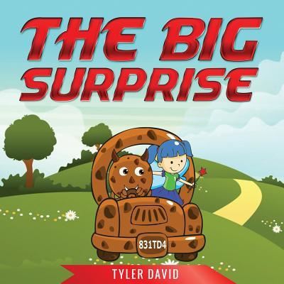 Cover for Tyler David · The Big Suprise (Paperback Book) (2017)