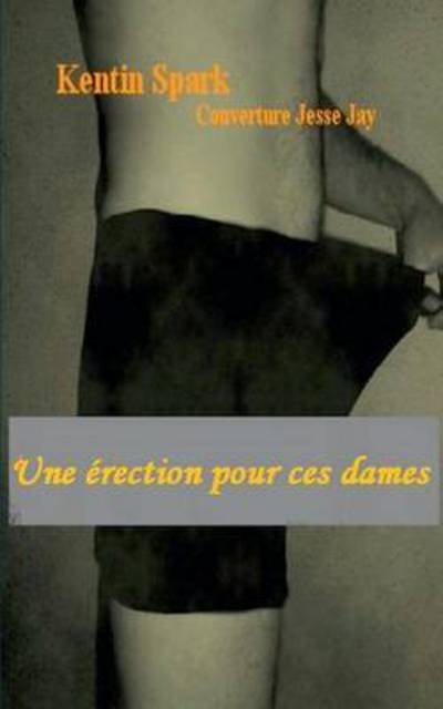 Cover for Kentin Spark · Une Erection Pour Ces Dames (Paperback Book) (2015)