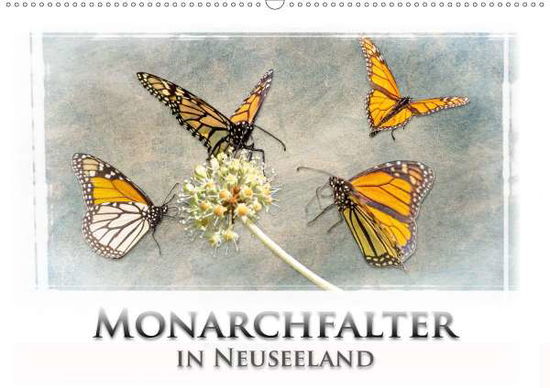 Cover for Bort · Monarchfalter in Neuseeland (Wandk (Book)