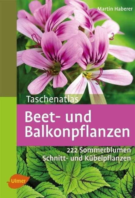 Taschenatlas Beet- und Balkonpf - Haberer - Libros -  - 9783800146598 - 