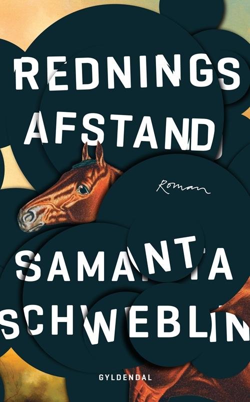 Cover for Samanta Schweblin · Redningsafstand (Innbunden bok) [1. utgave] (2017)