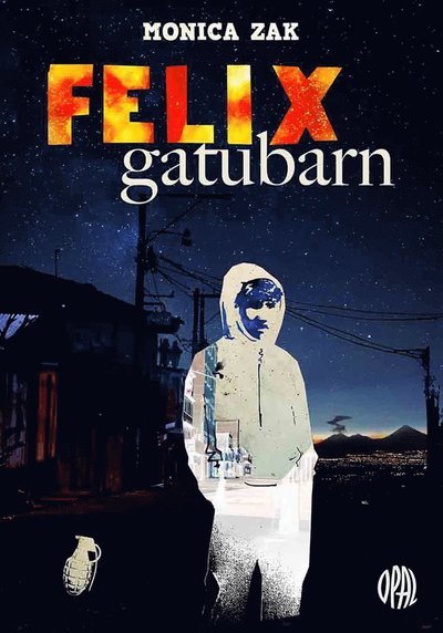 Cover for Monica Zak · Gatubarnsserien: Felix gatubarn (Indbundet Bog) (2021)