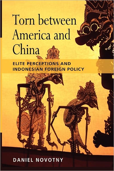 Cover for Daniel Novotny · Torn Between America and China: Elite Perceptions and Indonesian Foreign Policy (Paperback Book) (2010)