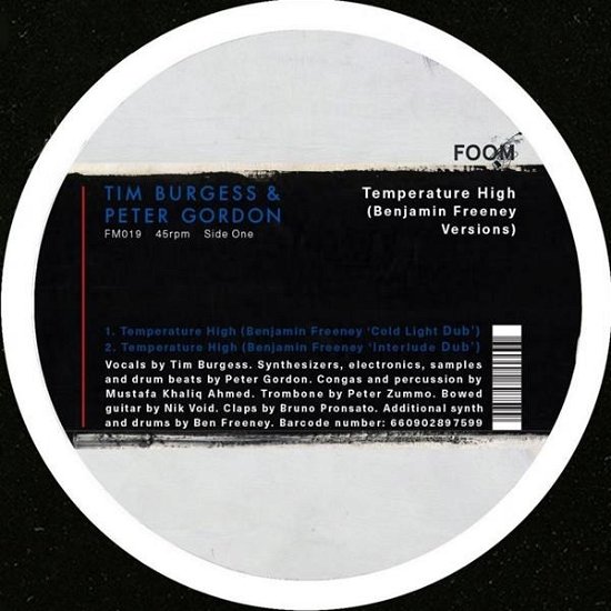 Tim & Peter Gordon Burgess · Temperature High (LP) [EP edition] (2020)