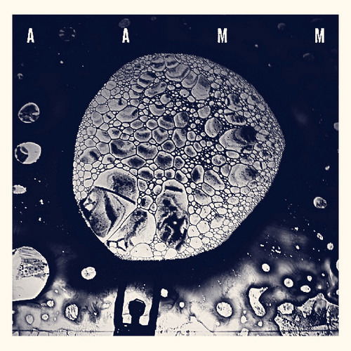 Cover for Aamm · Trio &amp; Amm (LP) (2019)