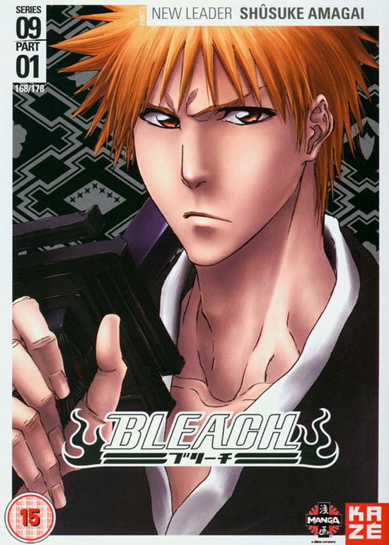 Cover for Manga · Bleach  Series 9  Part 1  Episodes (Innbunden bok) (2012)