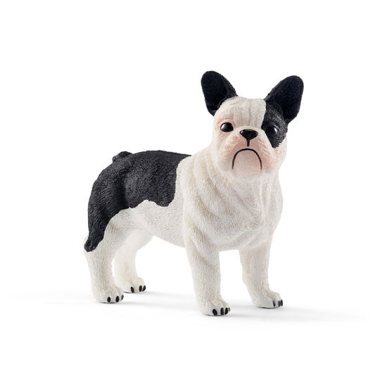 Cover for Schleich · Schleich: Bulldog Francese (MERCH) (2019)