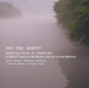 Cover for Haydn / Rossini / Schubert · Piano Trio In B Flat / Duo For Cello (CD) (2012)