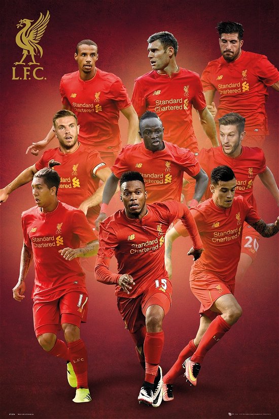 Cover for Liverpool · Liverpool: Players 16/17 (Poster Maxi 61x91,5 Cm) (MERCH)