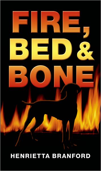 Cover for Henrietta Branford · Rollercoasters: Fire, Bed and Bone Reader (Reader) (Paperback Book) (2008)