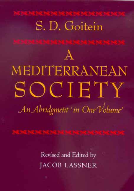 Cover for S. D. Goitein · A Mediterranean Society,  An Abridgment in One Volume (Paperback Book) (2003)