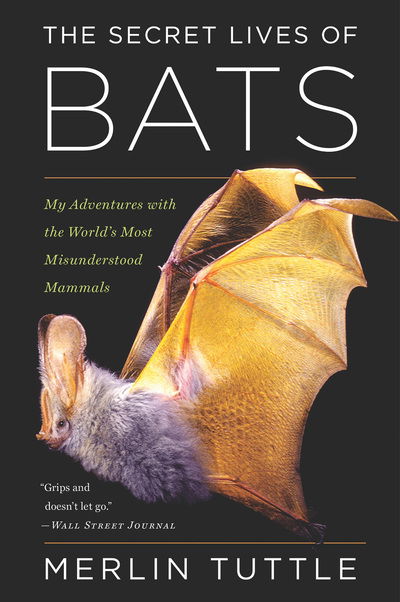 Cover for Merlin Tuttle · The Secret Lives Of Bats: My Adventures with the World's Most Misunderstood Mammals (Paperback Book) (2018)